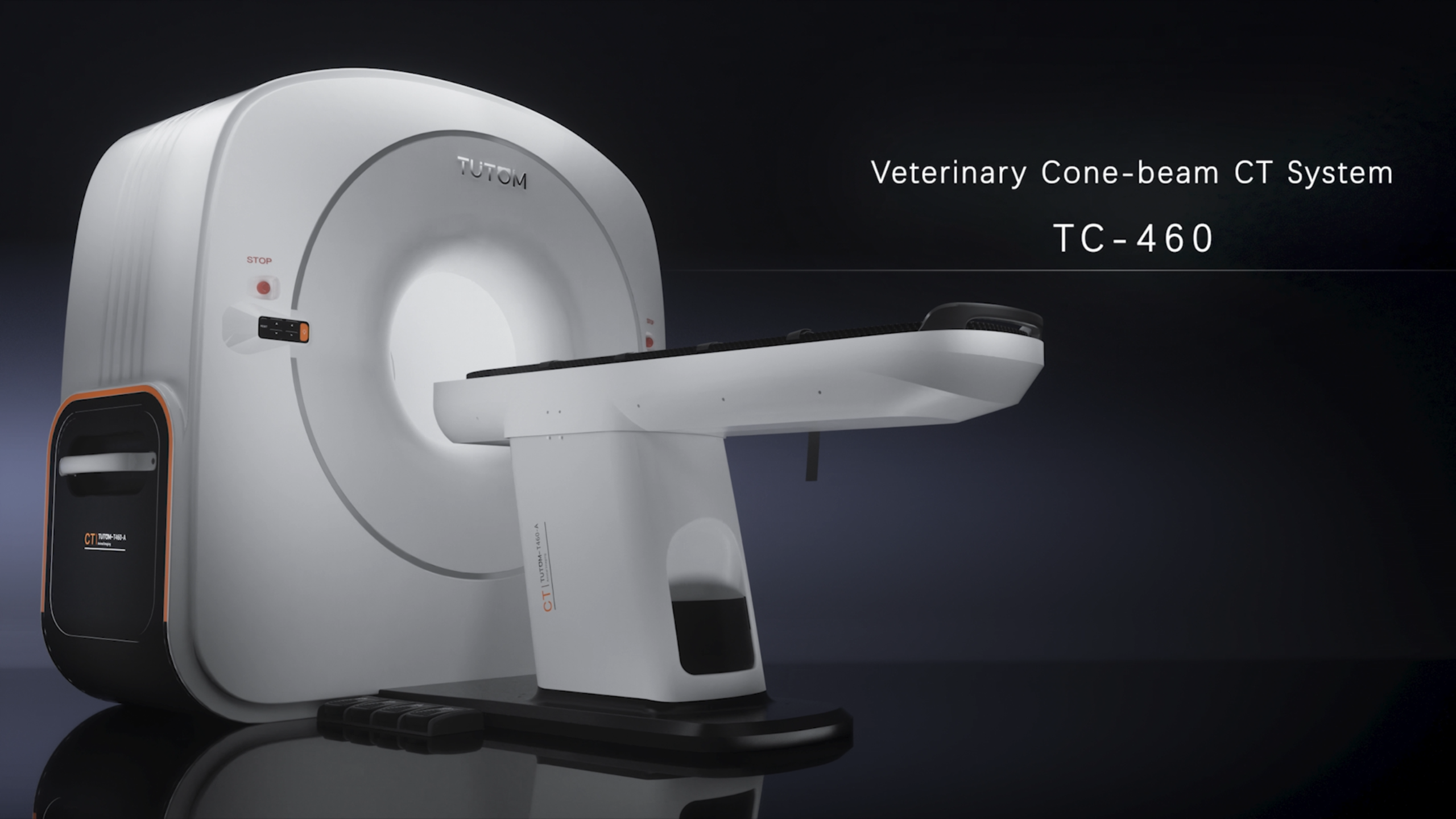 圖騰-動物(wù)CT
